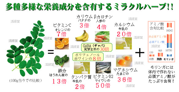 モリンガの栄養成分比較